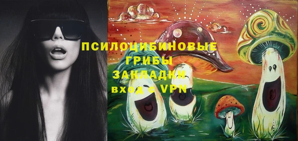 прущая мука Осташков
