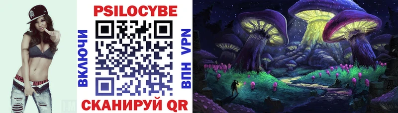 купить  цена  Старая Купавна  Галлюциногенные грибы MAGIC MUSHROOMS 