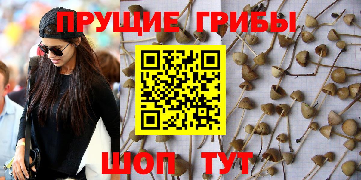 Галлюциногенные грибы Magic Shrooms  Вход с VPN  Старая Купавна 